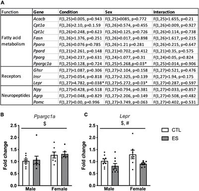 Modulation of the Hypothalamic Nutrient Sensing Pathways by Sex and Early-Life Stress